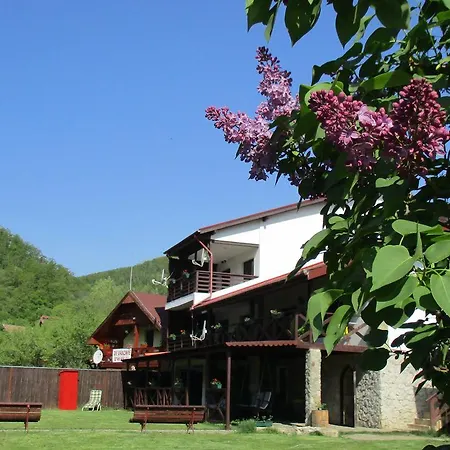 Pensión Cabana Poiana Galdei Poiana Galdei